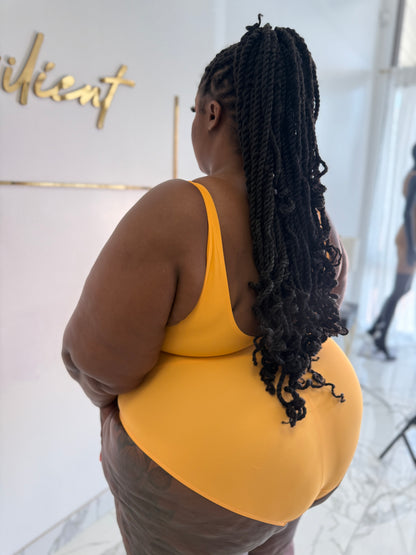 Low Plunge Swimsuit